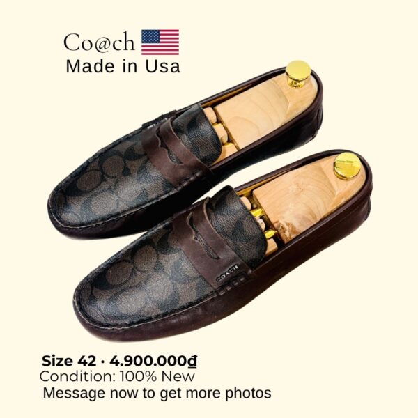 COACH - Hình ảnh 6