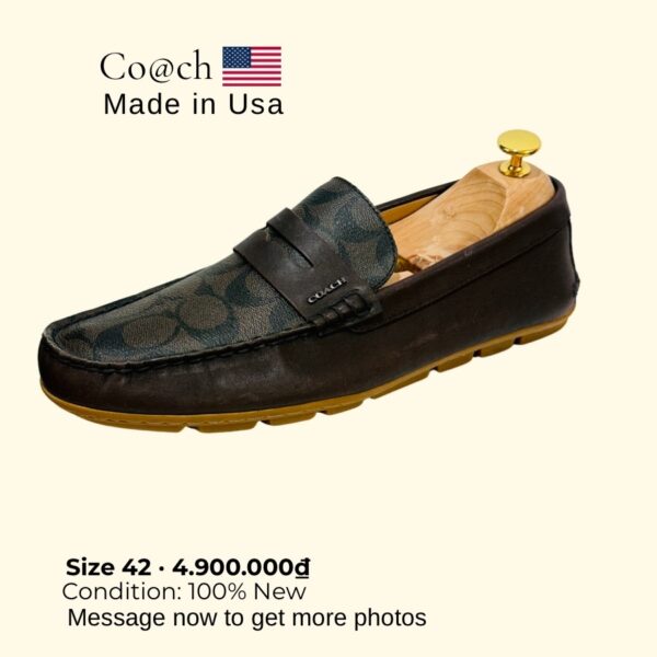 COACH - Hình ảnh 3