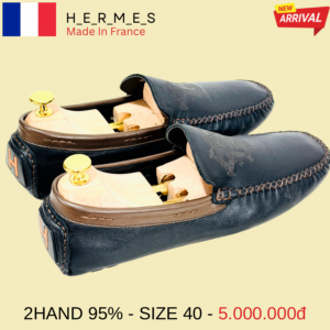 Alternative view of HERMES