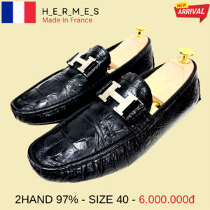 Alternative view of HERMES